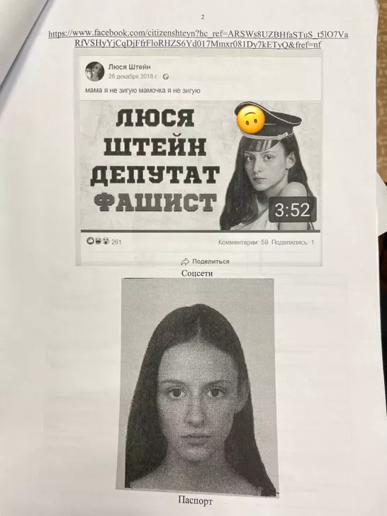 Страница материалов административного дела Люси Штейн / Фото: твиттер Люси Штейн