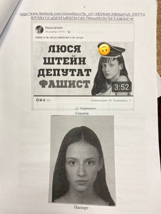 Страница материалов административного дела Люси Штейн / Фото: твиттер Люси Штейн